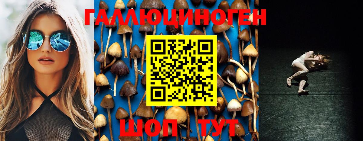 Хасавюрт  Галлюциногенные грибы Psilocybe  Вход с VPN 